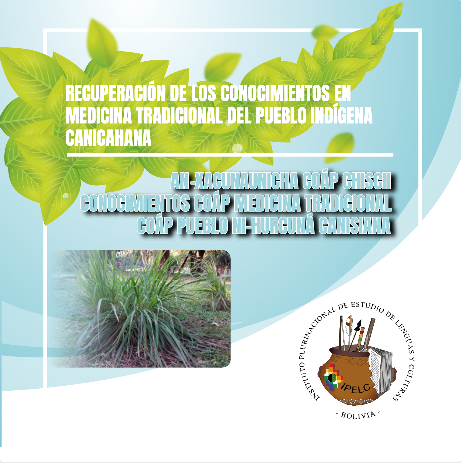 RECUPERACIÓN DE LOS CONOCIMIENTOS EN MEDICINA TRADICIONAL DEL PUEBLO INDÍGENA CANICAHANA